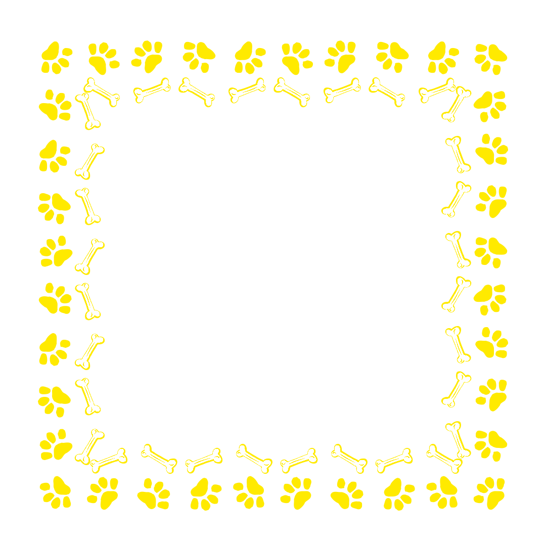 border-29-bright-yellow-1-4.png
