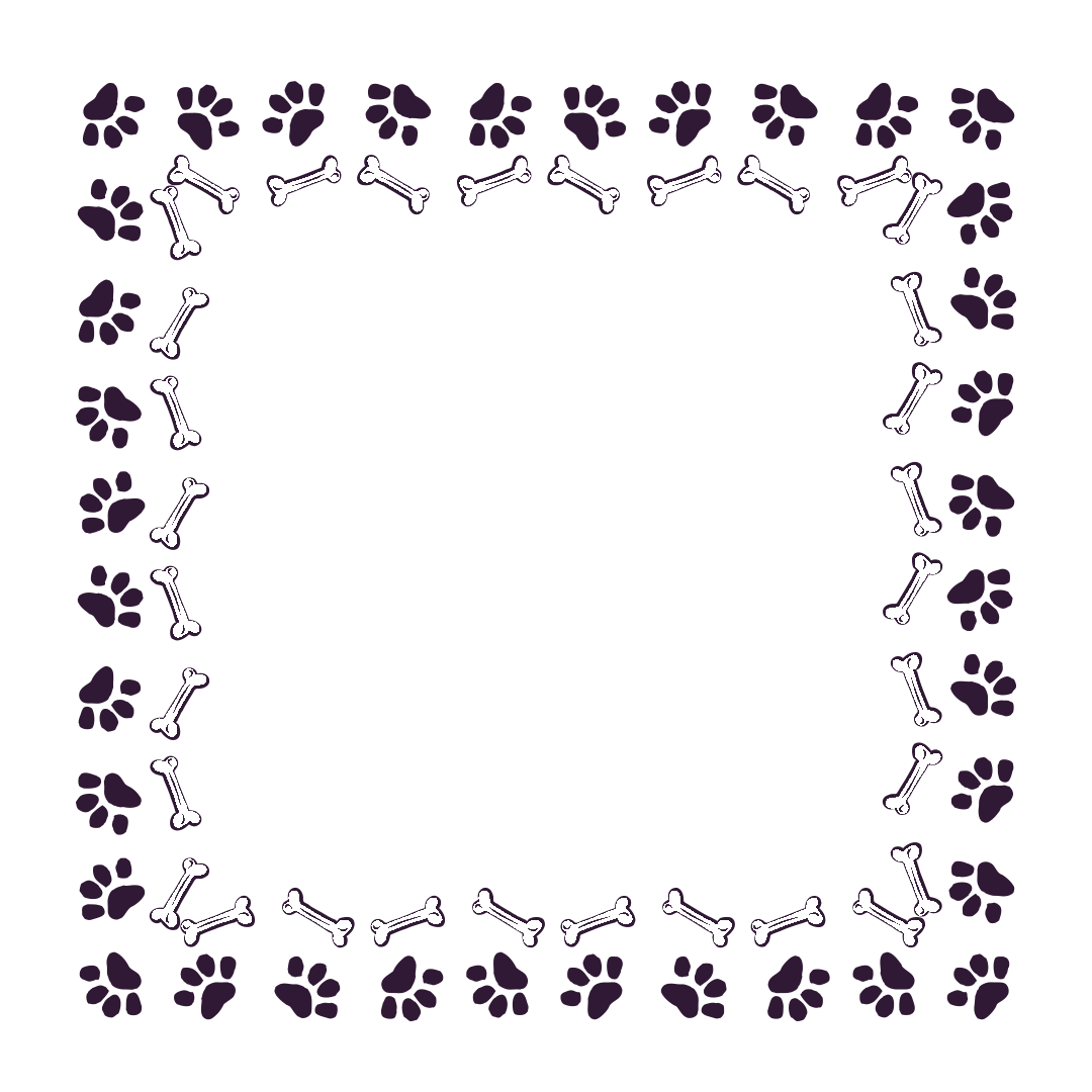border-29-dark-purple-4.png