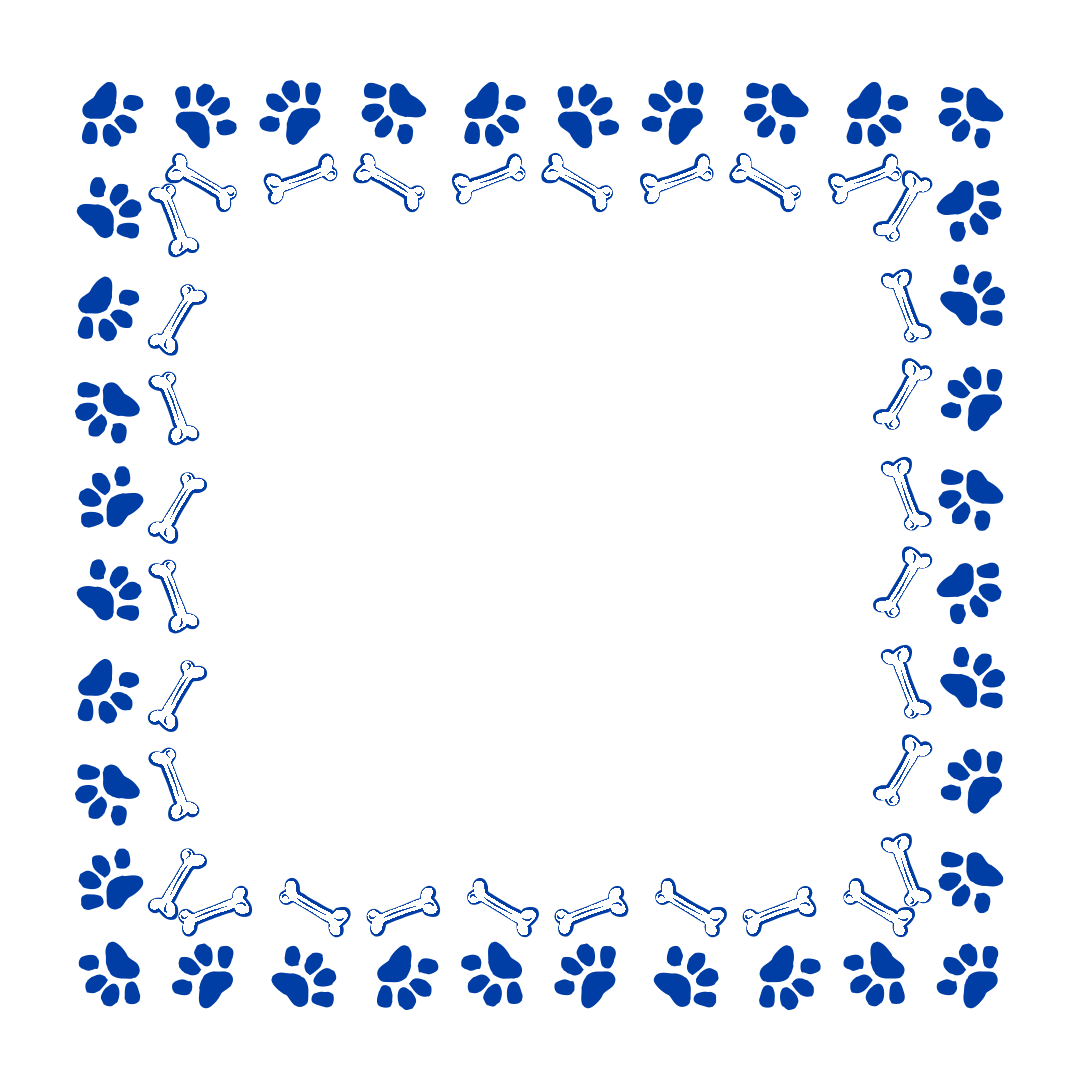 border-29-royal-blue-4.png