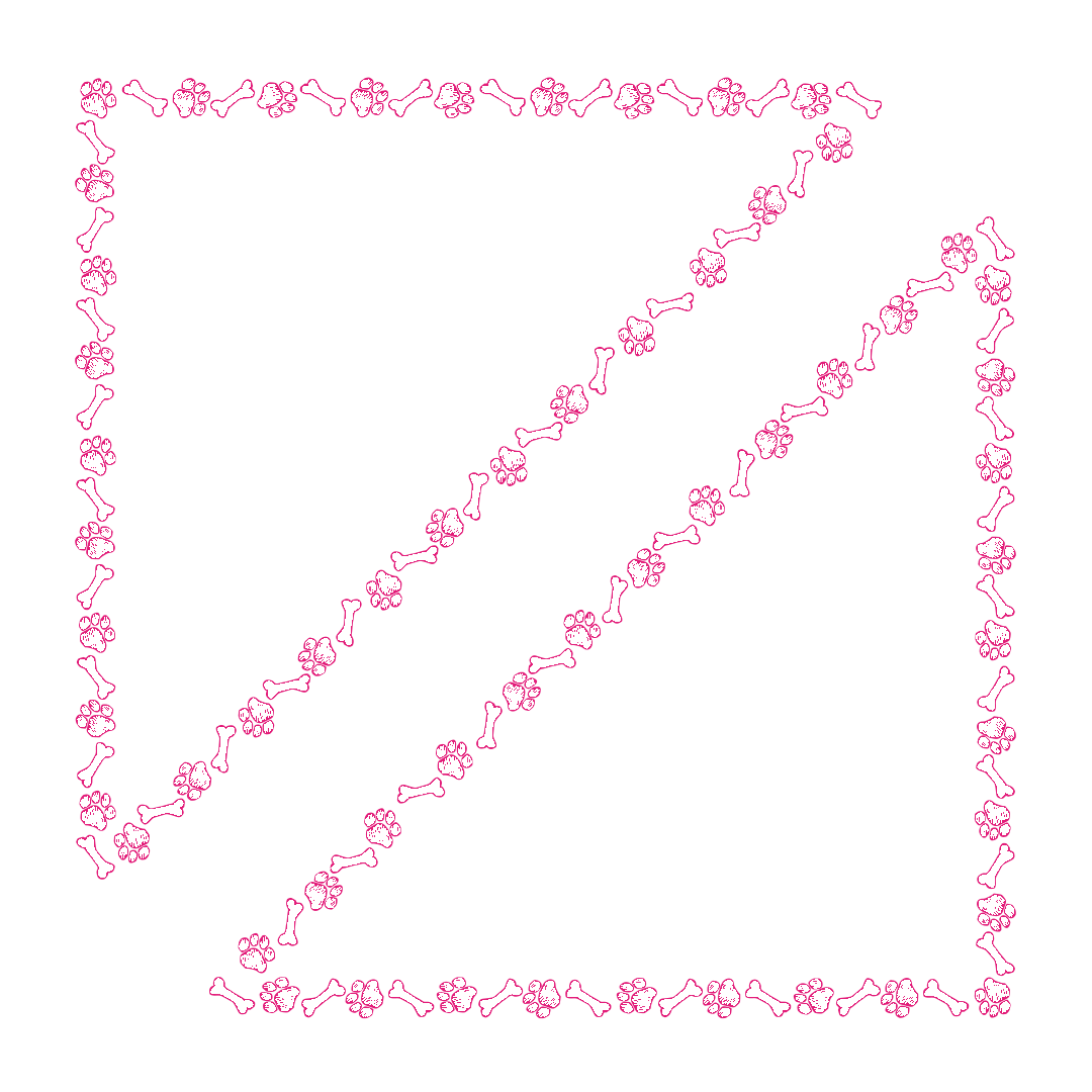 border-36-hot-pink-1.png
