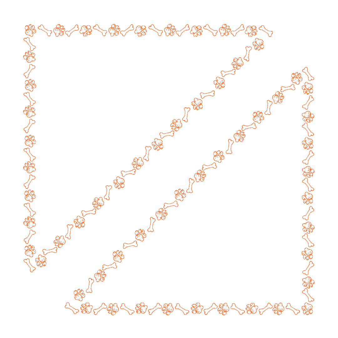 border-36-orange-4.png
