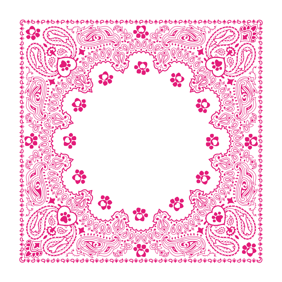 border-37-hot-pink-1.png