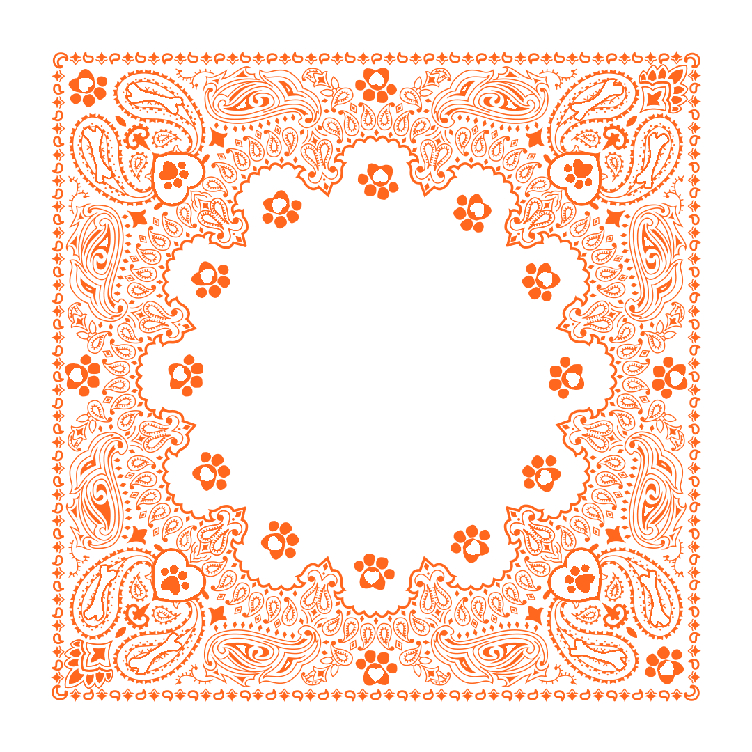 border-37-orange-1.png