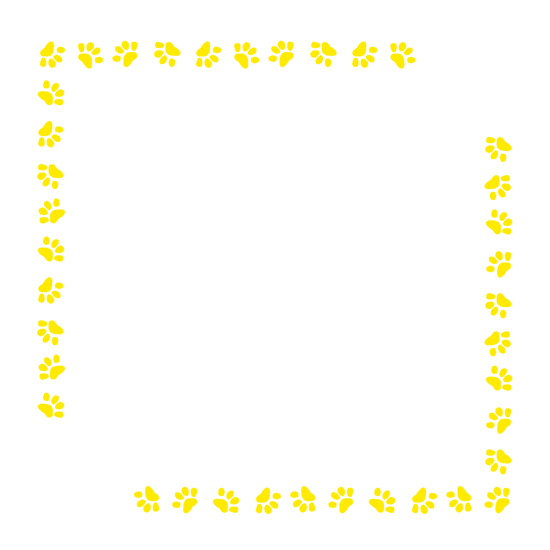 border-38-bright-yellow-1-1.png