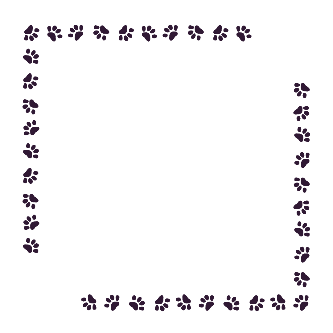 border-38-dark-purple-1.png