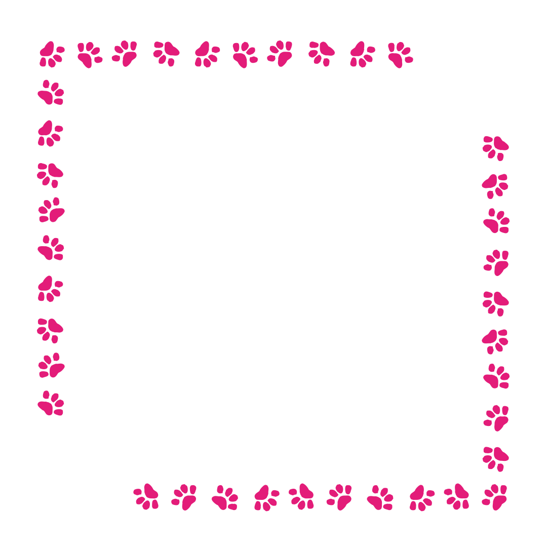 border-38-hot-pink-1.png
