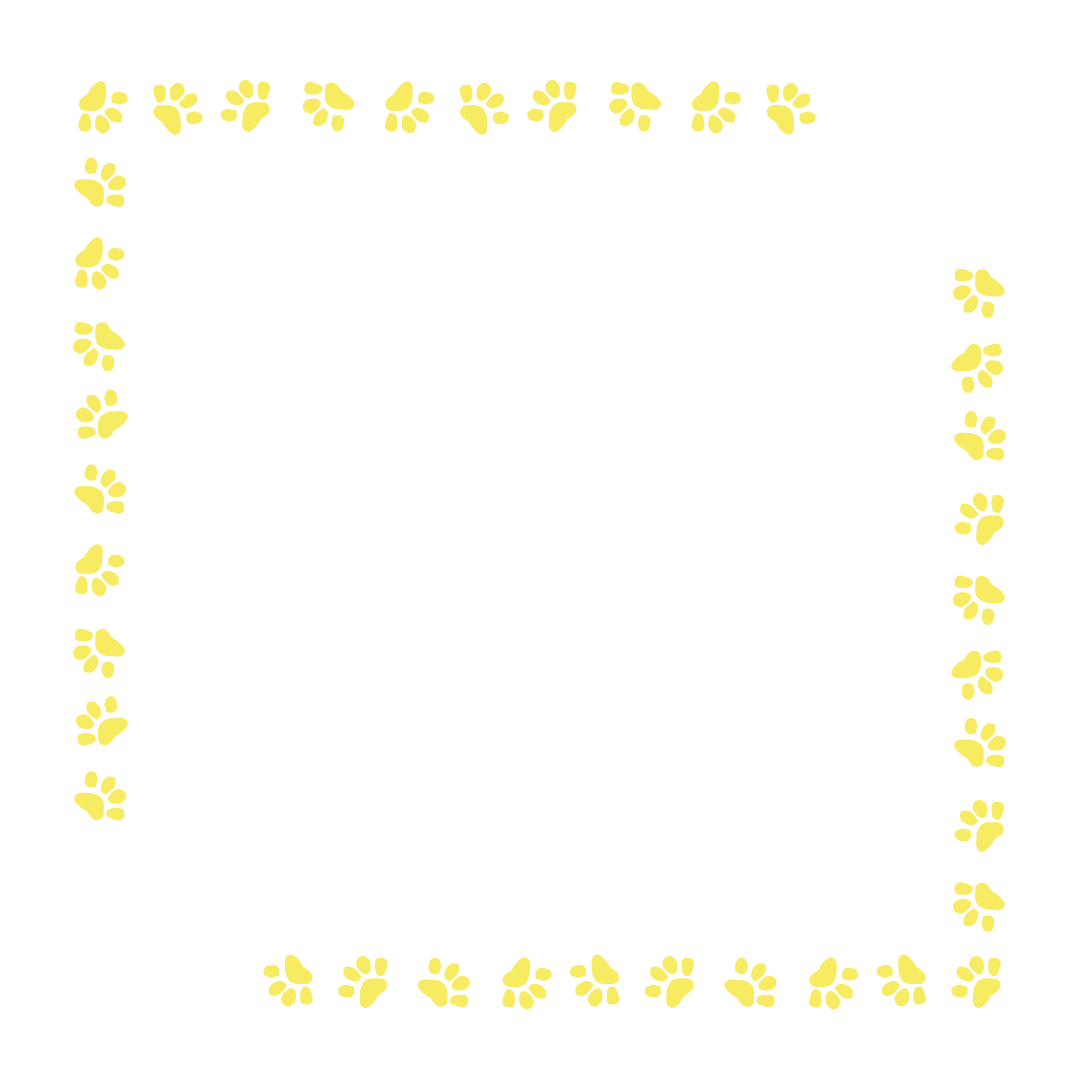 border-38-light-yellow-1.png