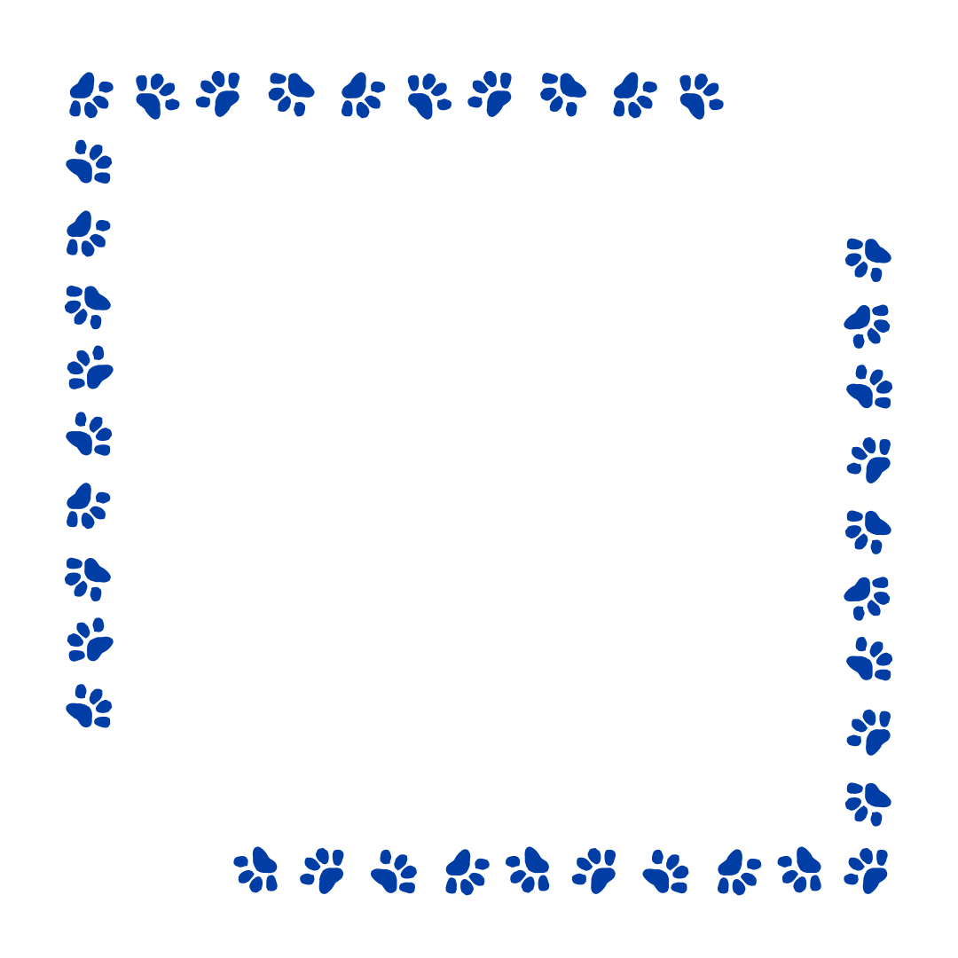 border-38-royal-blue-1.png
