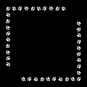 Border 38 - Custom Printed Bandanas 22x22  -Screen Printed