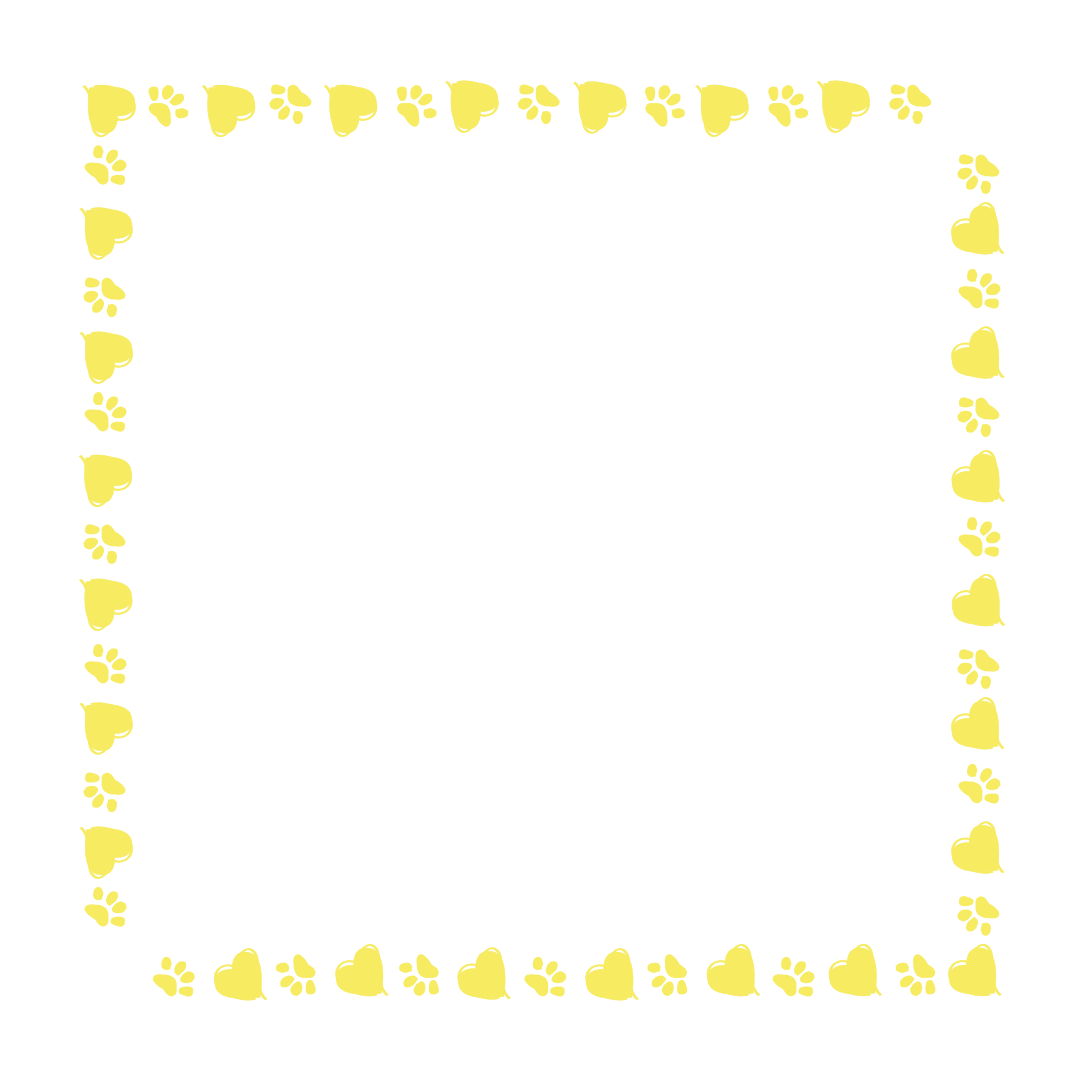 border-42-light-yellow-1.png