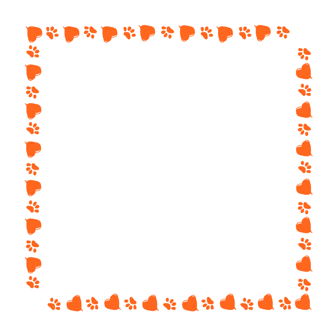 border-42-orange-1.png