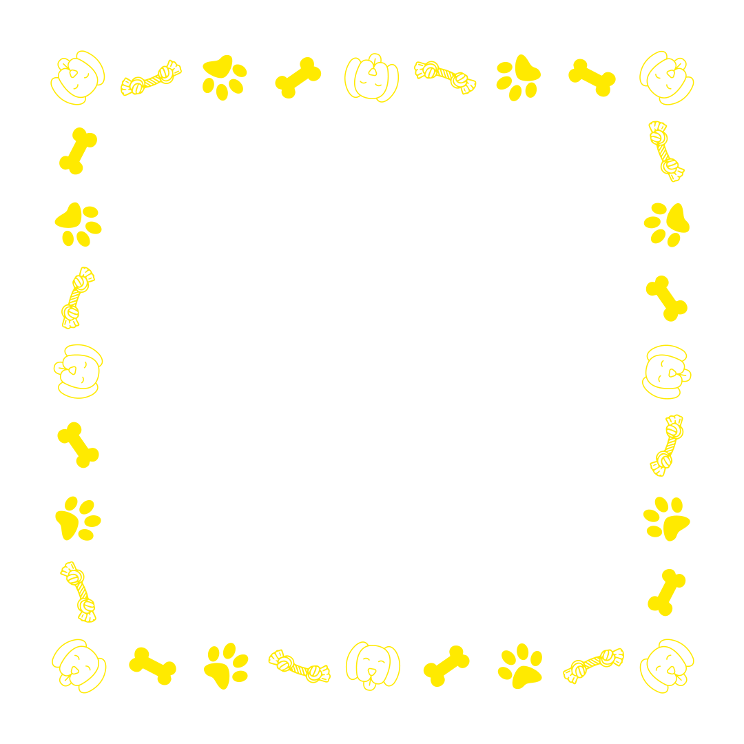 border-66-bright-yellow-1-1.png