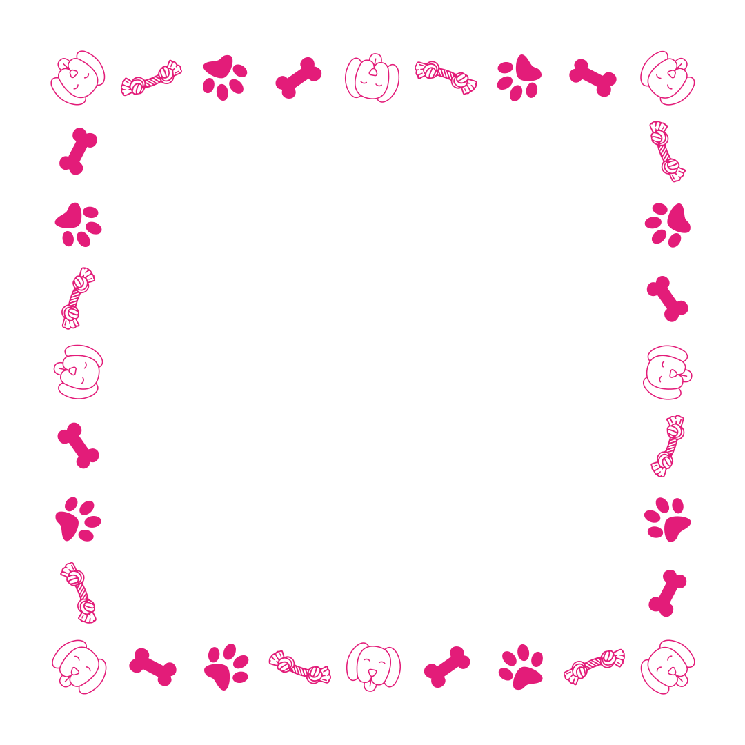 border-66-hot-pink-1.png