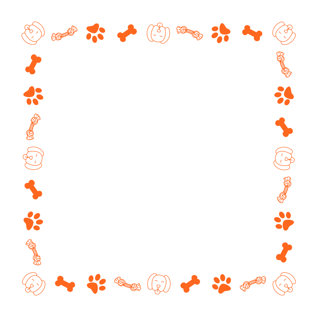 border-66-orange-1.png